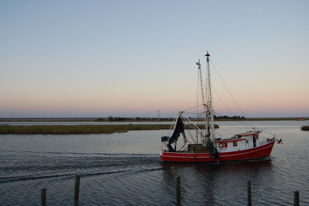 Apalachicola: More Than an Oyster Town