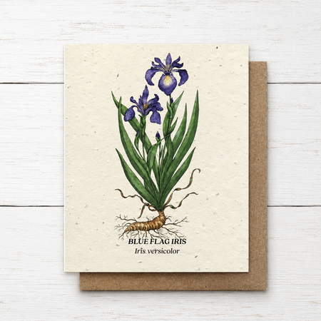 Plant Me ~ Blue Flag Iris ~ Note Card