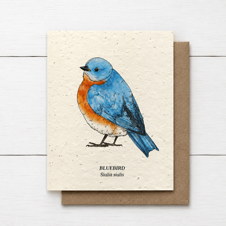Plant Me ~ Bluebird ~ Note Card