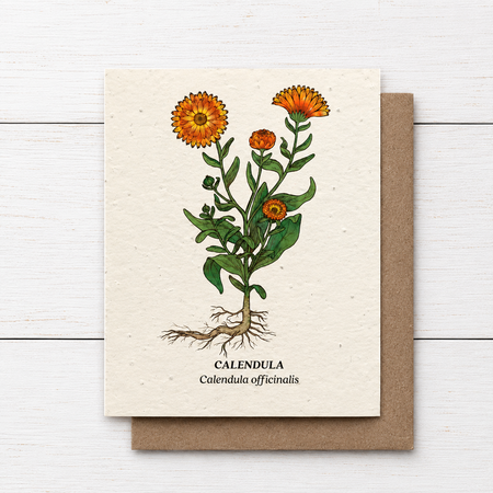 Plant Me ~ Calendula ~ Note Card