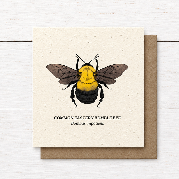 Plant Me ~ Common Eastern Bumble Bee ~ Note Card