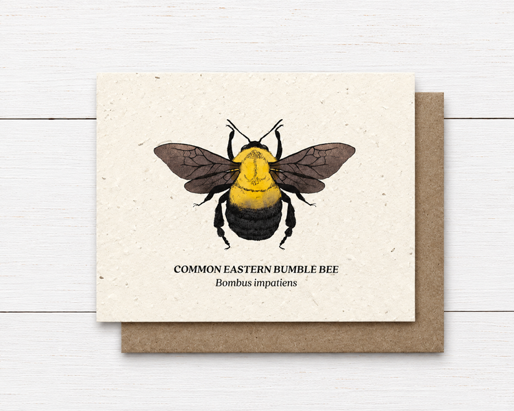 Plant Me ~ Common Eastern Bumble Bee ~ Note Card