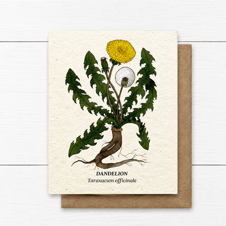Plant Me ~ Dandelion ~ Note Card