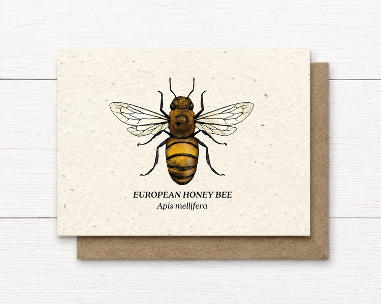 Plant Me ~ European Honeybee ~ Note Card