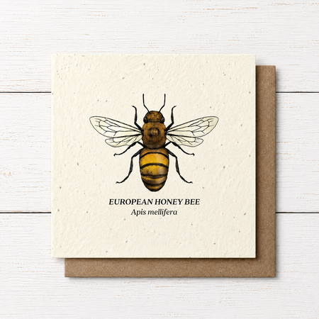 Plant Me ~ European Honeybee ~ Note Card