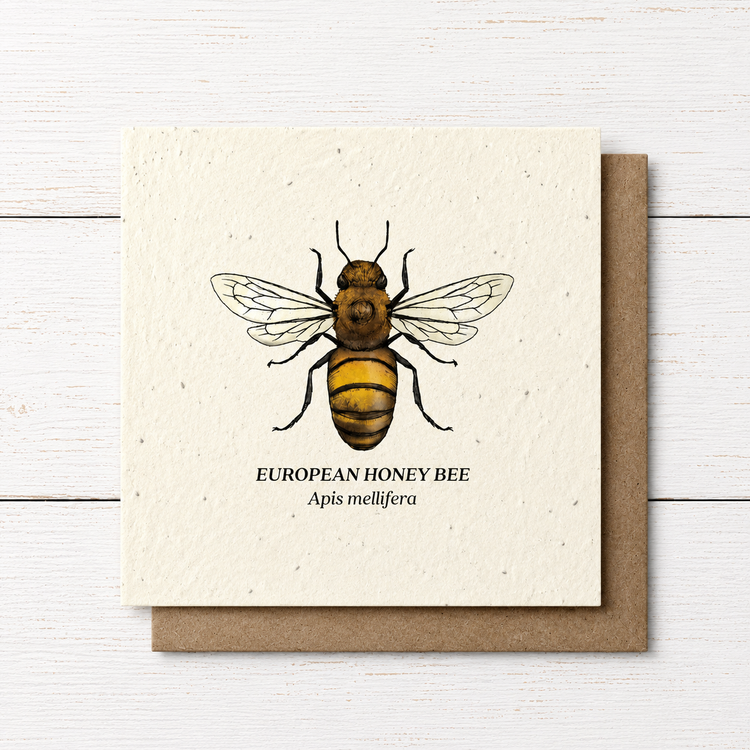 Plant Me ~ European Honeybee ~ Note Card