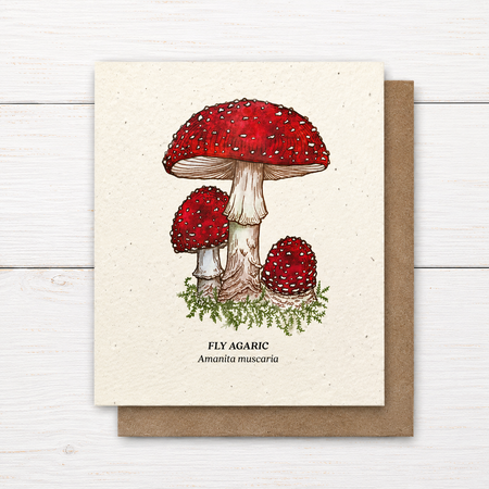 Plant Me ~ Fly Agaric ~ Note Card
