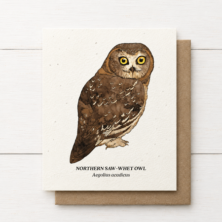 Plant Me ~ Northern Saw-Whet Owl ~ Note Card
