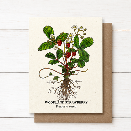 Plant Me ~ Woodland Strawberry ~ Note Card