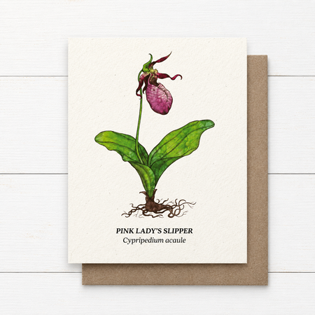 Plant Me ~ Pink Lady's Slipper ~ Note Card