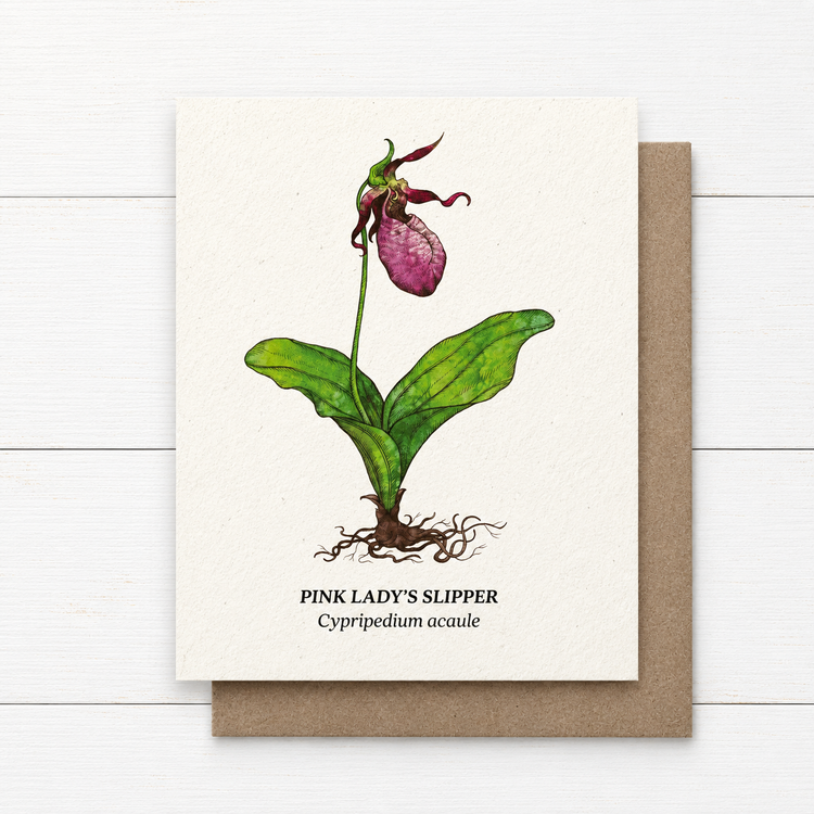 Plant Me ~ Pink Lady's Slipper ~ Note Card