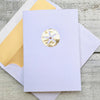 Sand Dollar ~ Note Card ~ Set of 8