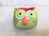 Ceramic Owl Air Plant Holder